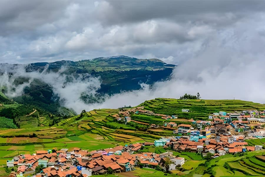 Ooty, Tamil Nadu