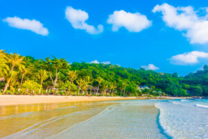 Best Places to Visit at Havelock Island