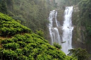 Stunning Tourist Places in Sri Lanka You Must See to Believe