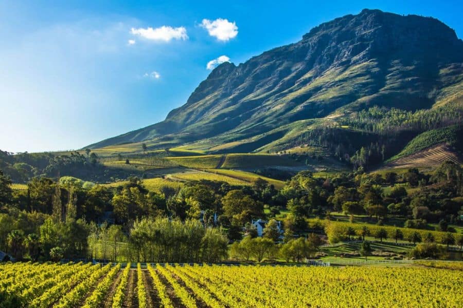 Cape Winelands