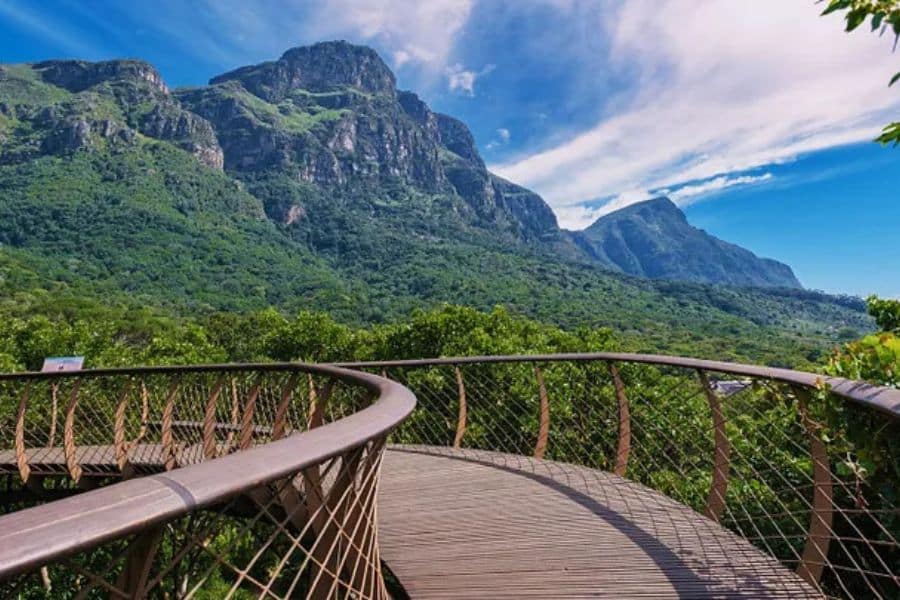 Kirstenbosch National Botanical Garden