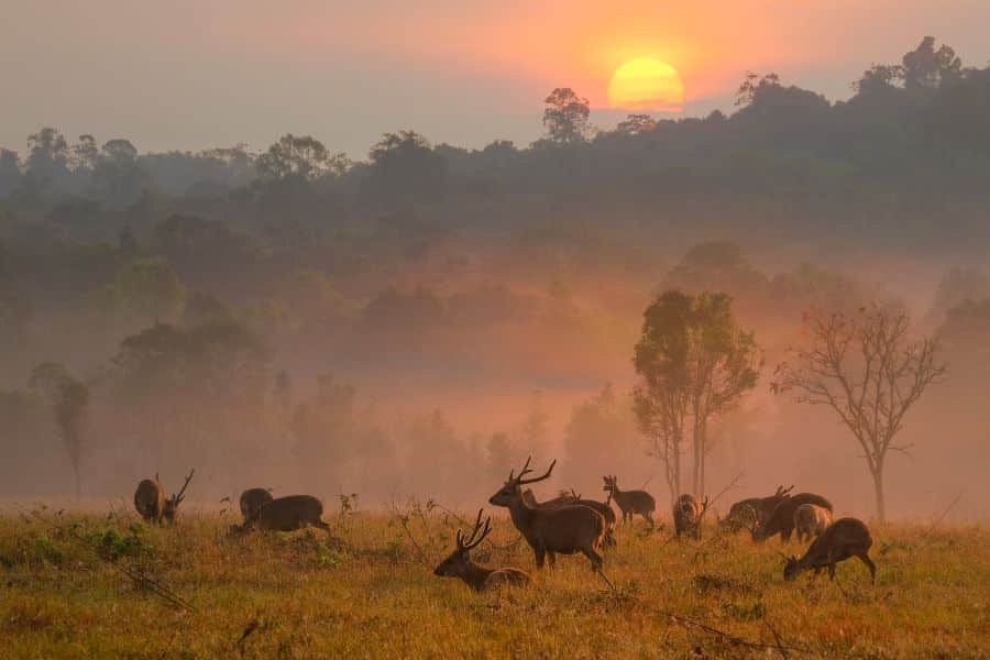 Serengeti National Park