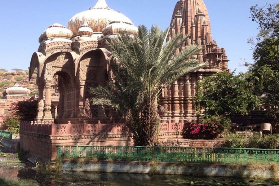 Cultural and Local Experiences in Jodhpur