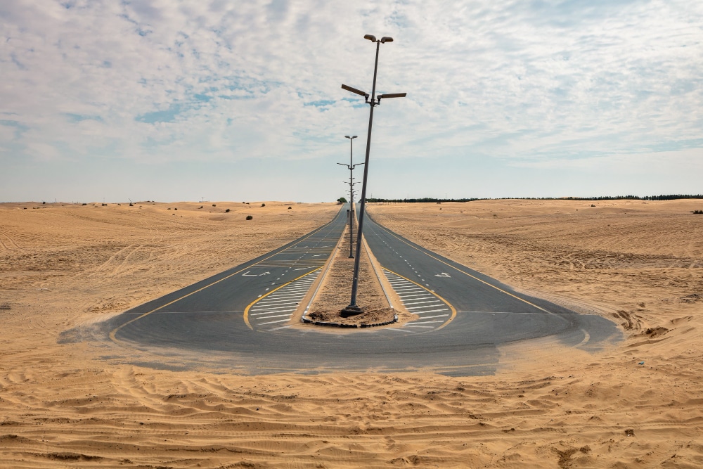 The Beauty of the Rann of Kutch: A 2025 Bucket List Must!