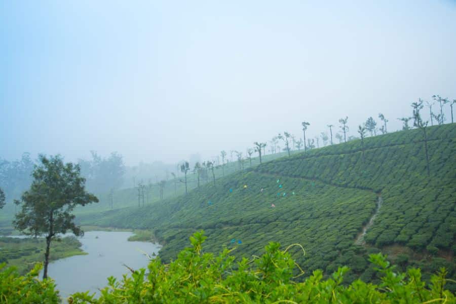 Top 7 Places to Visit Kochi for Every Traveler