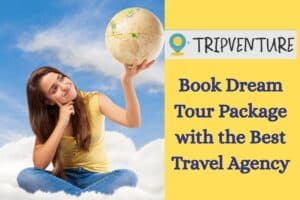 Book Dream Tour Package with the Best Travel Agency
