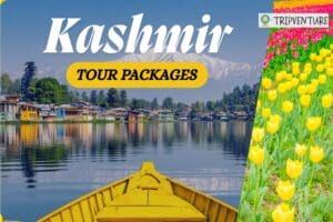 Top-Rated Travel Agency in Borivali for Kashmir Tour Packages | TripVenture If you’re searching for the finest travel agency in Borivali, TripVenture is the ideal choice for all your travel needs. As a trusted and top-rated travel expert, TripVenture specializes in crafting unforgettable Kashmir Tour Packages designed for families, couples, and leisure travelers who want a seamless holiday experience. Why Choose TripVenture for Your Kashmir Holiday? TripVenture is a travel agency dedicated to crafting personalized travel experiences for its clients. Founded with a passion for exploration, TripVenture aims to create memorable journeys that cater to individual preferences and interests. Their team is committed to understanding the unique needs of each traveller, ensuring that every trip is tailored to perfection. By combining expertise with creativity, TripVenture delivers exceptional holiday packages designed to inspire and delight adventurers. With a focus on customer satisfaction and attention to detail, they strive to exceed expectations and provide unparalleled service throughout the travel planning process. Being a reputed travel agency located in Borivali, TripVenture understands the preferences of Mumbai travelers and designs Kashmir Tour Packages that perfectly balance comfort, sightseeing, and value. Kashmir – The Perfect Summer Vacation Destination for Families Often called Paradise on Earth, Kashmir is one of India’s most breathtaking holiday destinations. Snow-capped mountains, serene lakes, colorful gardens, and lush valleys make it an ideal escape from the summer heat. For families planning school holidays, Kashmir stands out as a safe, scenic, and refreshing getaway. It offers a rare mix of relaxation, nature, and light adventure suitable for all age groups. Best Time to Visit Kashmir The best time to visit Kashmir is April to June, when the weather is pleasant, flowers are in full bloom, and sightseeing is comfortable. This makes it a top pick for summer holidays and one of the most recommended Places to Visit in Month of May. During this period: Temperatures range between 12°C to 30°C Valleys turn lush green Snow can still be experienced in higher regions Perfect climate for family sightseeing and photography If you’re planning your summer break, Kashmir Tour Packages are among the most rewarding travel choices. Iconic Destinations Covered in Our Kashmir Tour Packages Srinagar – Lakes, Houseboats & Mughal Grandeur Srinagar is the heart of Kashmir tourism. Families can enjoy: A peaceful Shikara ride on the iconic Dal Lake Stay in traditional wooden houseboats Walk through the historic Mughal Gardens Local shopping & authentic Kashmiri cuisine Gulmarg – Meadows & Snow Adventures A stunning hill station known for: Vast green meadows Winter snow landscapes The famous Gulmarg Gondola, one of the highest cable car rides in Asia Family-friendly snow and nature activities Pahalgam – The Valley of Shepherds Perfect for peaceful family time: Pine forests and scenic rivers Snow-fed valleys and mountain views Relaxing nature walks Stunning photography points Each destination adds a unique charm, making Kashmir Tour Packages ideal for travelers who want variety in one trip. Trip Details – Kashmir Family Special Package Package Details Information Starting From ₹26,000 / Per Person Destination Srinagar No. of People 2 People Duration 7 Days Nights 6 Nights Itinerary 2N Srinagar + 2N Gulmarg + 2N Pahalgam Package Experience Experience the unmatched beauty of paradise on earth with this 6 Nights / 7 Days journey through Kashmir, covering Srinagar, Gulmarg, and Pahalgam. Begin your trip in Srinagar, where you can enjoy a peaceful Shikara ride on Dal Lake, stay in a charming houseboat, and explore the famous Mughal Gardens. Continue to Gulmarg, a breathtaking hill station known for its lush meadows, snow-covered slopes, and Asia’s highest cable car ride — the Gondola. Next, head to Pahalgam, the “Valley of Shepherds,” surrounded by pine forests, rivers, and majestic mountains, offering perfect spots for relaxation and photography. Priced at ₹26,000 per person for 2 people (price subject to availability), this tour promises a perfect mix of natural beauty, romance, and tranquility — an unforgettable escape into the heavenly landscapes of Kashmir. Book with the Best Travel Experts in Borivali TripVenture has earned a reputation for delivering premium yet affordable Kashmir Tour Packages with complete planning support — from flights and stays to sightseeing and local experiences. Their Borivali-based travel experts ensure smooth coordination, transparent pricing, and personalized assistance at every step. Whether you're planning a family summer vacation, a couple’s retreat, or a scenic getaway, professionally curated Kashmir Tour Packages from TripVenture guarantee a stress-free and memorable holiday. Plan Your Summer Escape Today Make your holidays special with expertly designed Kashmir Tour Packages from Borivali’s trusted travel specialists. Let TripVenture turn your dream vacation into reality with comfort, care,