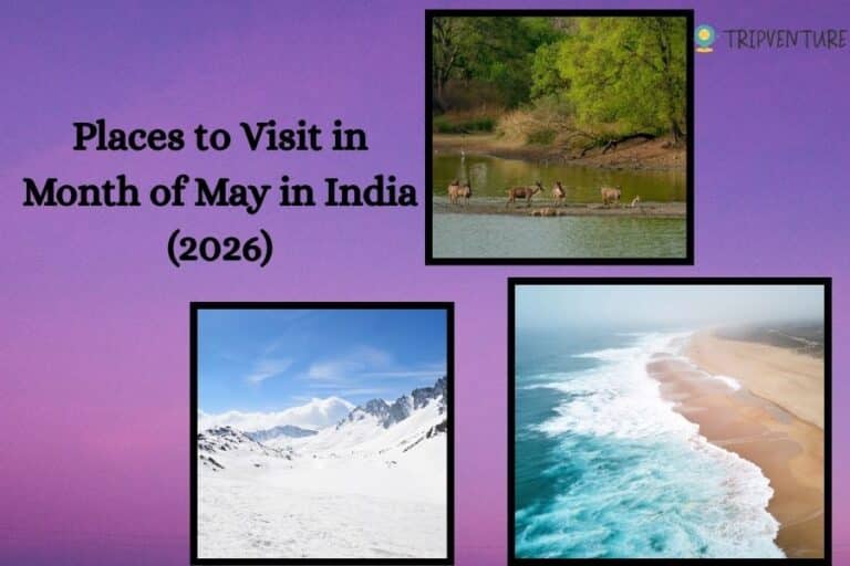 Places to Visit in Month of May in India | Summer Vacation | TripVenture