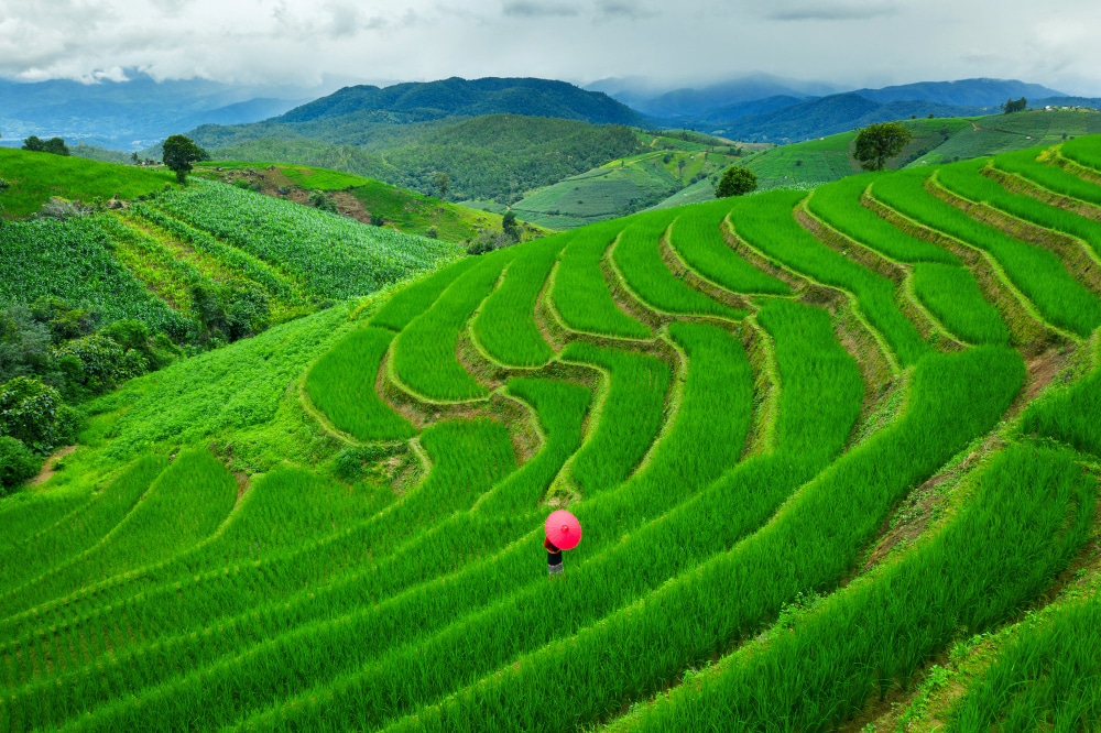 Ziro Valley Tourist Places You Must Explore in 2026