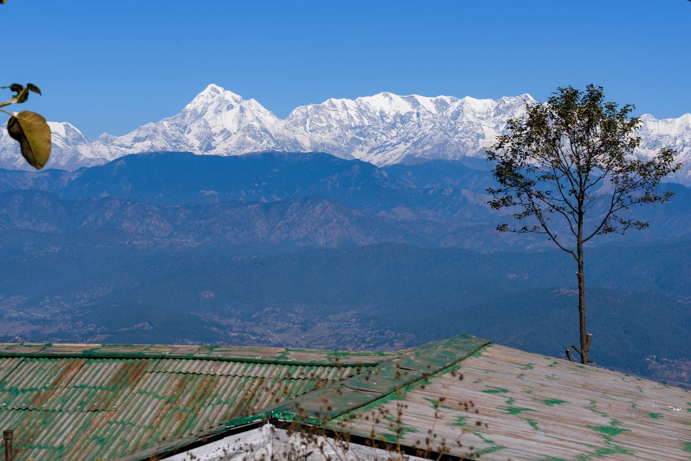 Bagdogra Darjeeling West Bengal | Tourism Guide | TripVenture