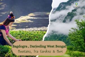 Bagdogra Darjeeling West Bengal | Tourism Guide | TripVenture