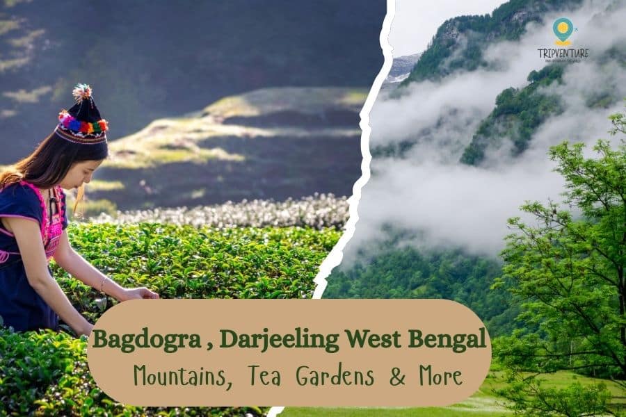 Bagdogra Darjeeling West Bengal | Tourism Guide | TripVenture
