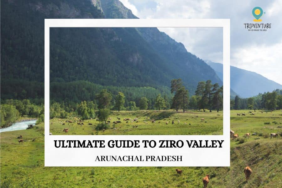 Ziro Valley Tourist Places You Must Explore in 2026