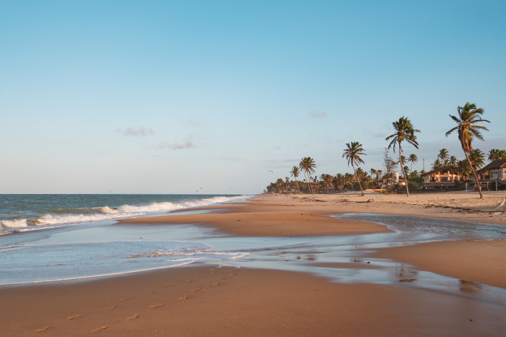 Daman and Diu Tourism | Discover Local Heritage, Beaches & Adventure Activities | Trip Venture