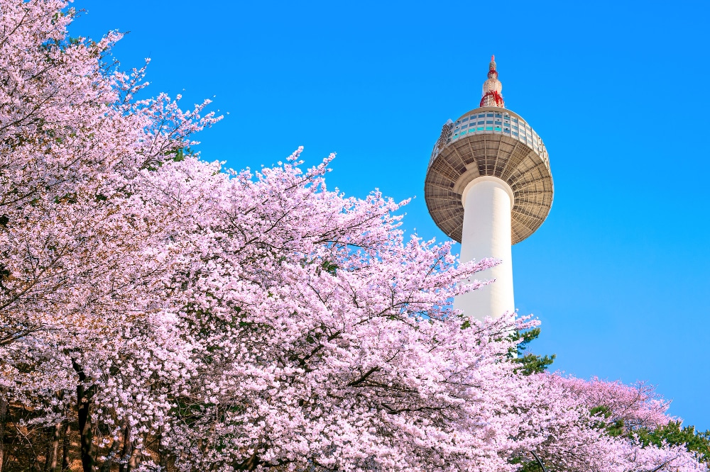 The Land of the Morning Calm (South Korea) | South Korea Travel Guide & Packages from Borivali West | Trip Venture