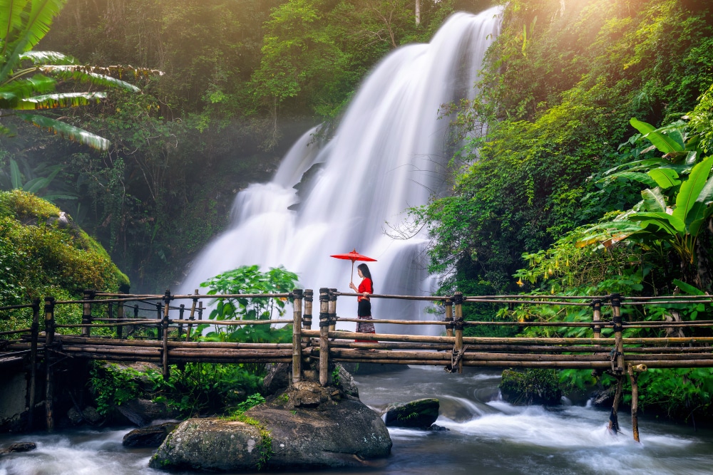 Best Meghalaya Travel Package in Borivali | Book Your Northeast Escape | Trip Venture